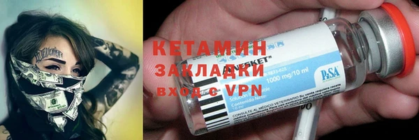 индика Дмитровск