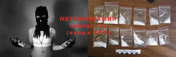 индика Дмитровск