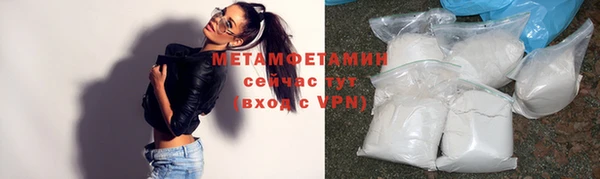 индика Дмитровск