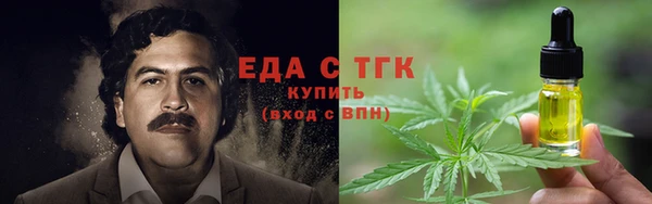 индика Дмитровск