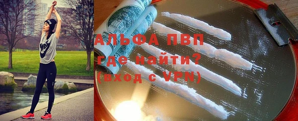 индика Дмитровск