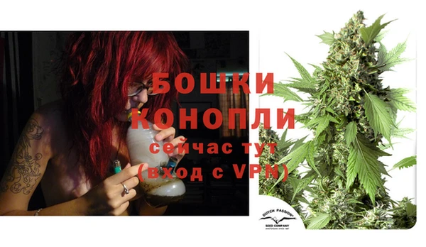 индика Дмитровск