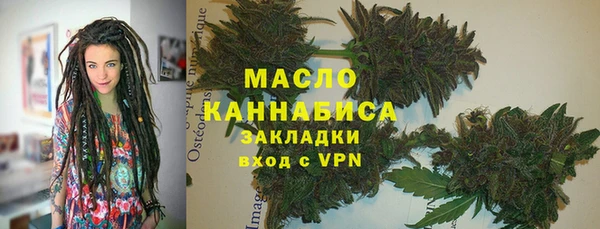 индика Дмитровск