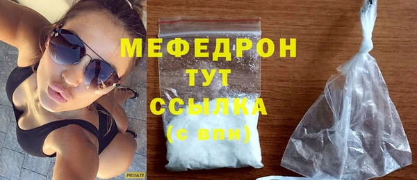 индика Дмитровск