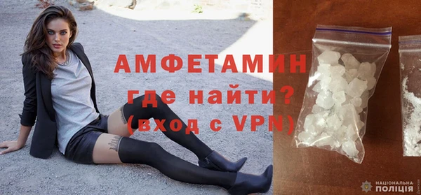 индика Дмитровск