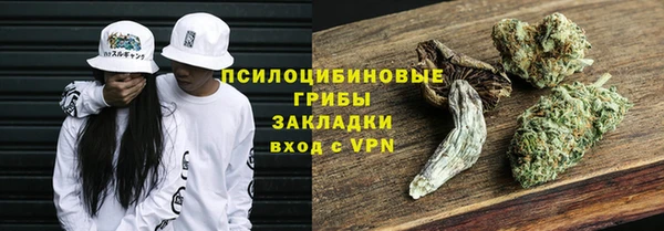 индика Дмитровск