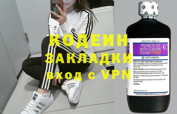 индика Дмитровск