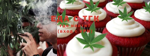 индика Дмитровск