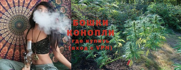 индика Дмитровск