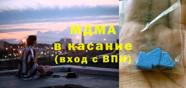 индика Дмитровск
