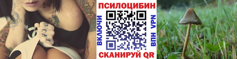 Псилоцибиновые грибы Magic Shrooms  дарнет шоп  Заволжье 